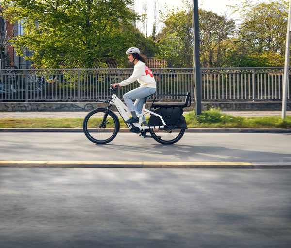 Riese & Müller Multicharger 2 - EX DEMO