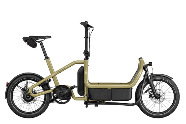 Riese & Müller Carry2