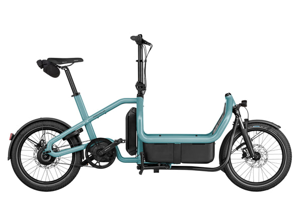 Riese & Müller Carry2