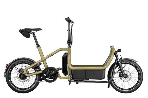 Riese & Müller Carry2