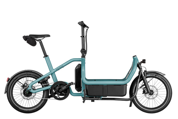 Riese & Müller Carry2