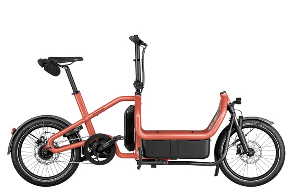 Riese & Müller Carry2