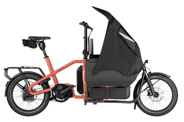 Riese & Müller Carry2