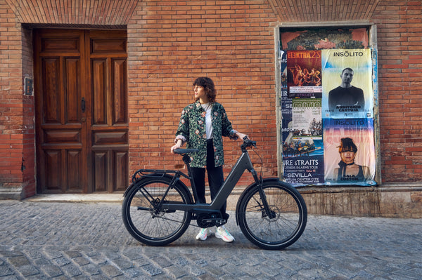 Riese & Müller Nevo5 Vario HS - CANCELLED ORDER