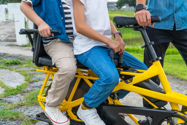 Tern Sidekick Handle