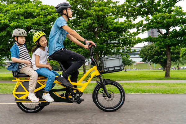 Tern Sidekick Handle