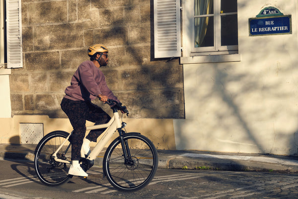 Riese & Müller Multitinker2