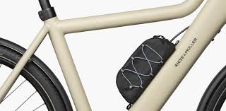 Riese & Müller Multitinker2