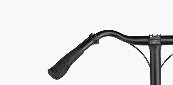 Riese & Müller Multitinker2