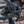 Roxform STRIDE L