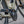 Roxform STRIDE L