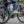 Roxform STRIDE L