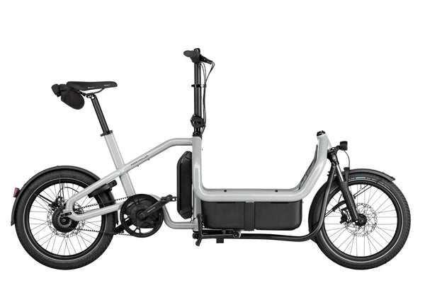 Riese & Müller Carry2