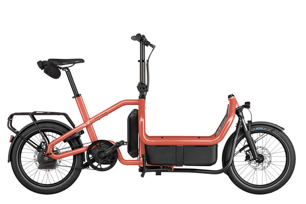 Riese & Müller Carry2