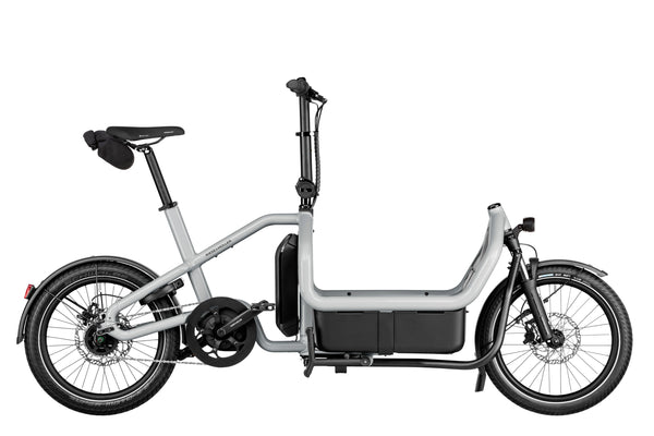 Riese & Müller Carry2