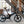 Gocycle G4 (Ex Demo)