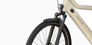 Riese & Müller Multitinker2